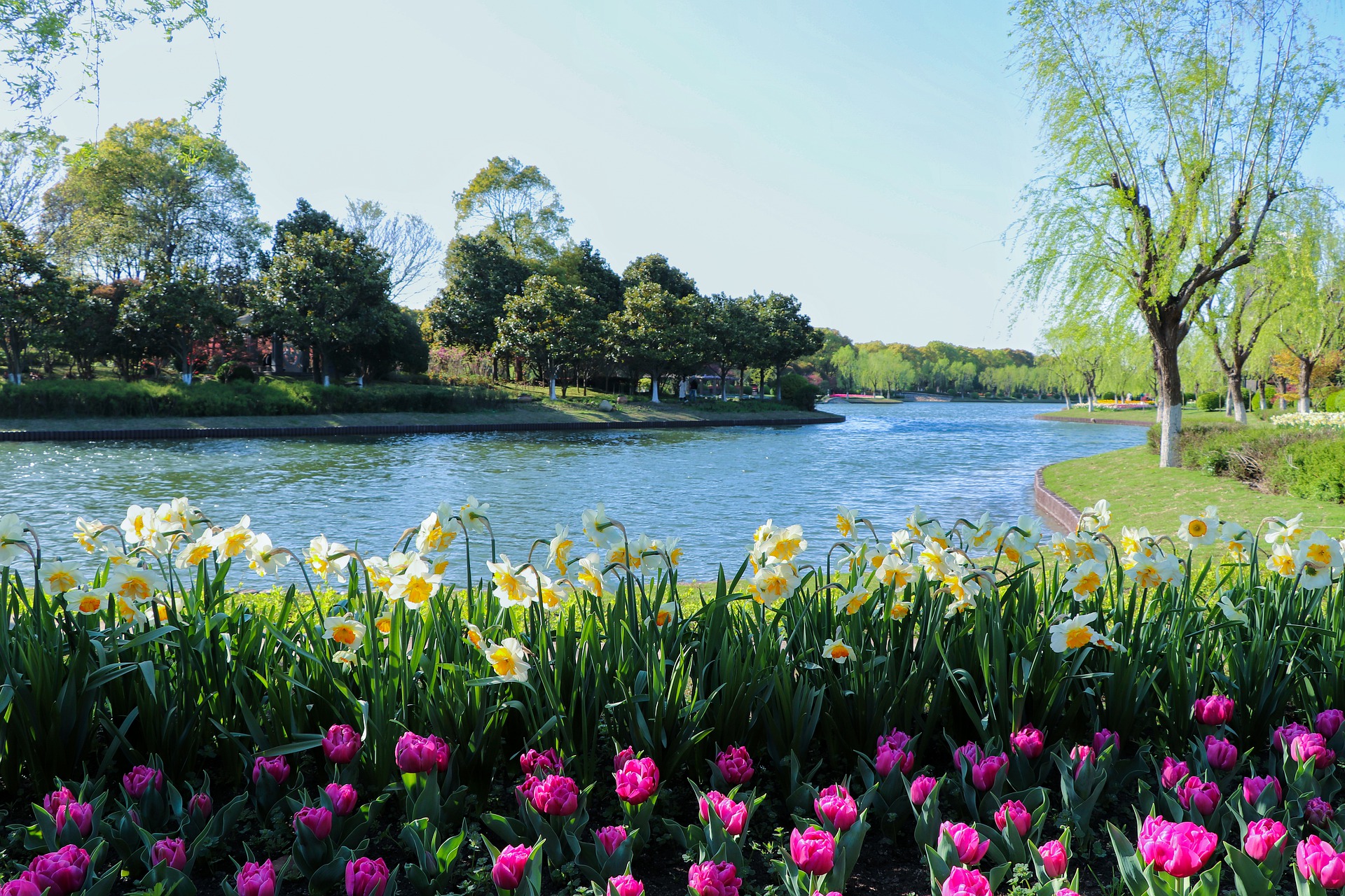 A lake is surrounded by colourful spring flowers and daffodils marking the start of the Easter Weekend